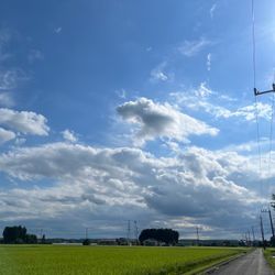 お盆あけ　秋の風を感じる季節への画像1