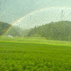 お盆あけ　秋の風を感じる季節への画像3