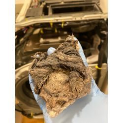 中原区 パナソニック NA-VX900BR ドラム式洗濯機分解クリーニングの画像3