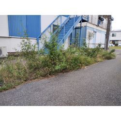 PR　アパート草刈りの画像1