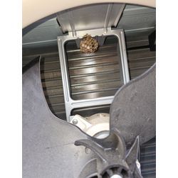 今年も熱くなってきましたね（汗）の画像2