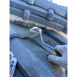 漆喰工事の画像2