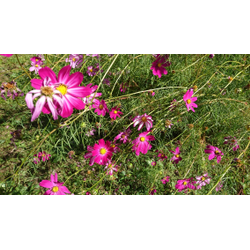 連休は整理収納日和！の画像1