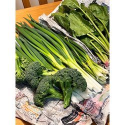 緑が濃い！旬のブロッコリーとネギをたっぷり使った「春の養生ごはん」の画像1