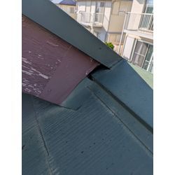 コウモリの侵入口を塞ぎました。の画像1