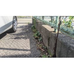 倉庫周りの草引きの画像2