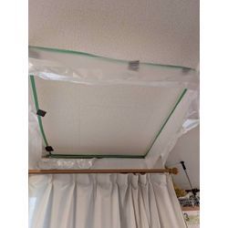 ☆東京都町田市からネズミ駆除のご依頼の画像1