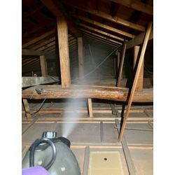 大阪府にてネズミ駆除防除対策を行いました。の画像3