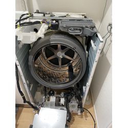 洗濯物の「生乾き臭」はなぜ起こる？の画像1