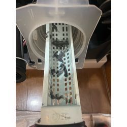【Panasonic NA-VXシリーズ】糸くずフィルターにグレーの樹脂片？脱水カバー破損のサインです！の画像1