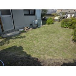 芝張り作業も承っております^_^の画像2