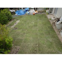 芝張り作業も承っております^_^の画像3