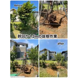 千葉県船橋市の伐採・抜根作業の画像1