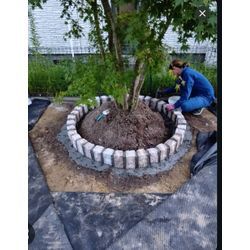 人工芝×ピンコロで、美しさが長く続くお庭にの画像1