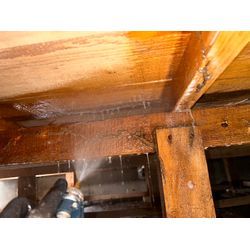 シロアリ駆除の画像2