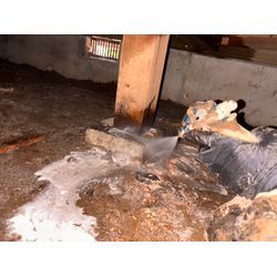 シロアリ駆除の画像1