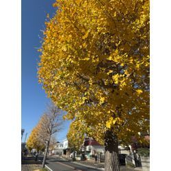 高圧ホースの画像2