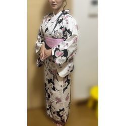 姫路ゆかた祭りの画像2