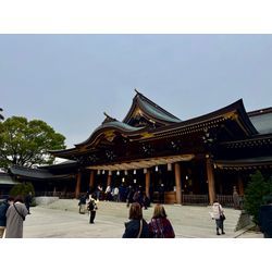 寒川神社で七五三の画像1