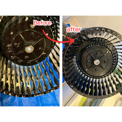 「気になってはいたけど、後回しにしていた場所」の画像1