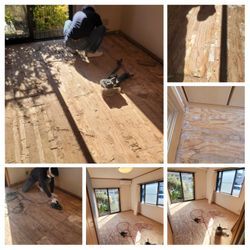 ⑦東京都文京区／洋室フローリング→フローリング工事の画像1