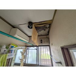 《雨漏り工事》東京都大田区　雨漏り点検事例の画像1