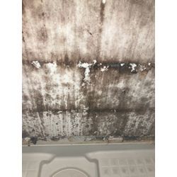 【エプロン内】の画像1