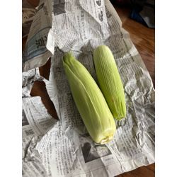 🌽新鮮とうもろこしをそのままで！の画像1