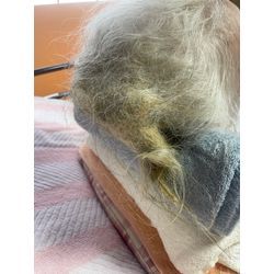 髪の毛の絡まりの画像1