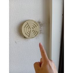 壁紙クロス・団地ビル内コンクリートのカビ除去の画像2