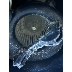 トイレの換気扇掃除の画像1