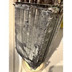 パナソニックドラム式洗濯機洗浄作業①の画像3