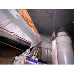 シロアリ駆除の画像1