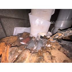 シロアリ駆除の画像2