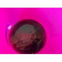 2025.5.28 エアコンクリーニング🧹の画像3