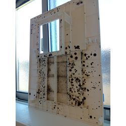 お風呂のオプション多機能換気扇クリーニングの画像2