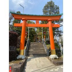 天使のような満面な笑顔頂きました。の画像3