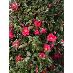 一人で頑張り過ぎないで☺️の画像1