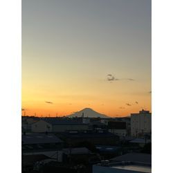 今年も宜しくお願い致します！の画像1