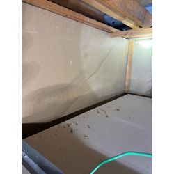 葛飾区トコジラミ駆除の画像1