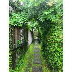 訪問美容が、終わった後は…の画像1