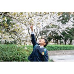 【新入園、入学のお祝いも出張撮影YURAGIのサービスへ！】の画像1