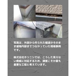 【イエシロアリの脅威は、床下だけじゃない】の画像3