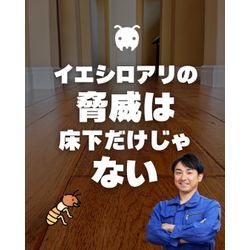 【イエシロアリの脅威は、床下だけじゃない】の画像1