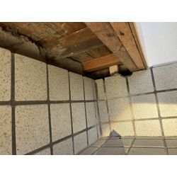 大阪府にてネズミ被害駆除防除対策を行いました。の画像1