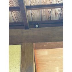 〜玄関両脇にスズメバチ〜の画像2