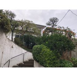 秋のお庭手入れの画像2