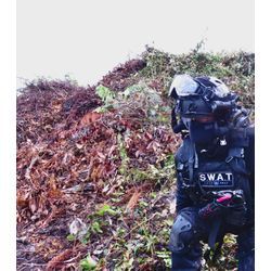 S.W.A.Tで剪定 | 広島県で庭木の剪定は塩田剪庭園の画像1