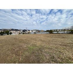 柏市　草刈り　ハンマーナイフの画像2