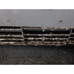 やっぱり乾燥してくると、、の画像1